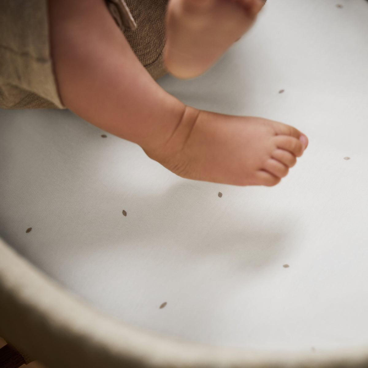 Little green sheep organic cotton moses basket/pram fitted sheets in white colour with truffle brown dots.