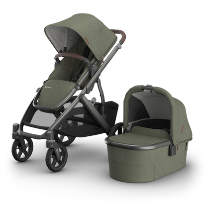 Pushchair and Carrycot in Evelyn 