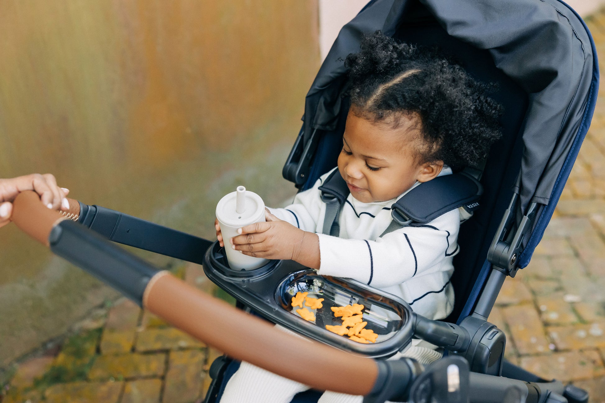 UPPAbaby black snack tray attached to a stroller.