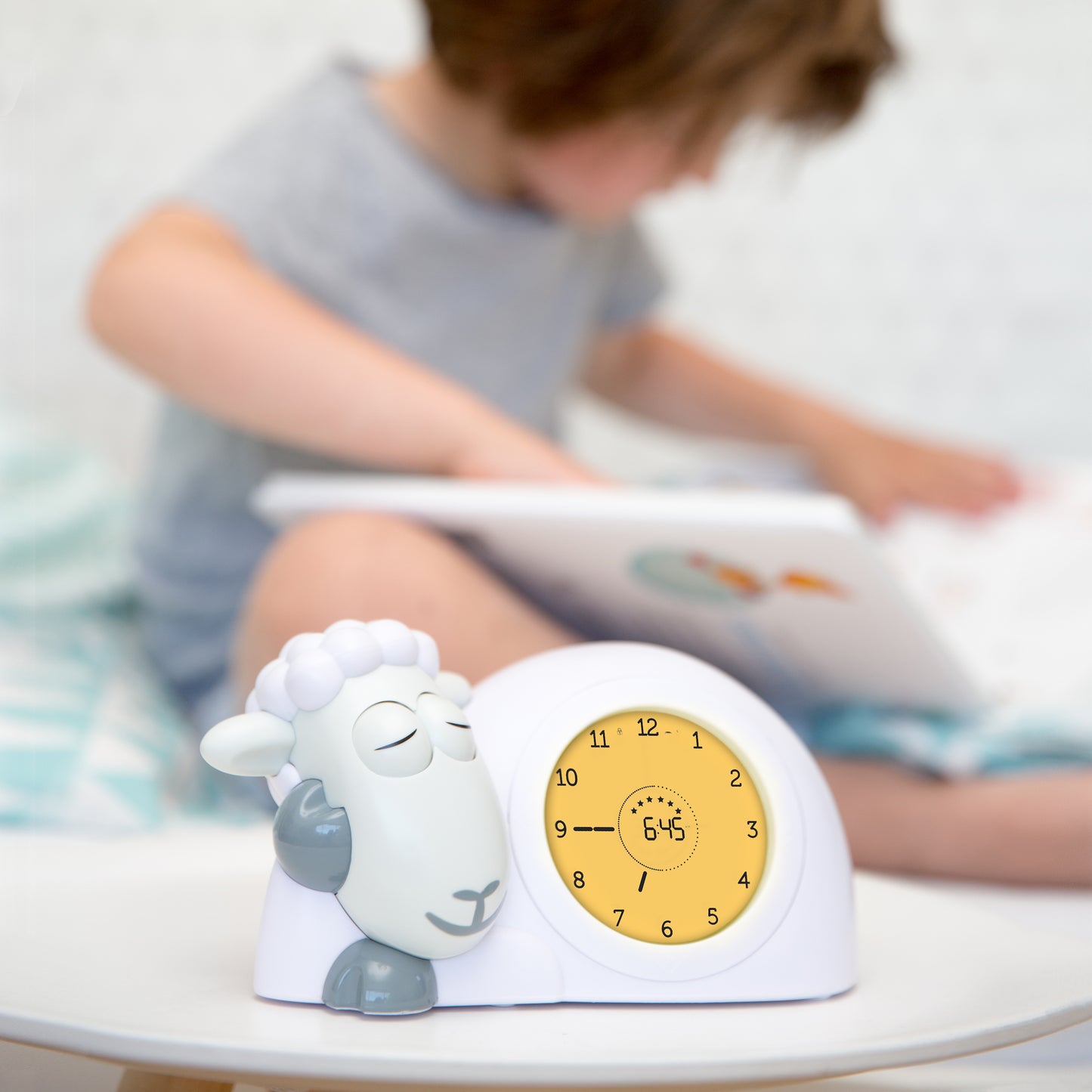 A white a grey sheep with a clock in its belly showing the different colours of its belly when the time changes, while a toddler reads a book in the background.