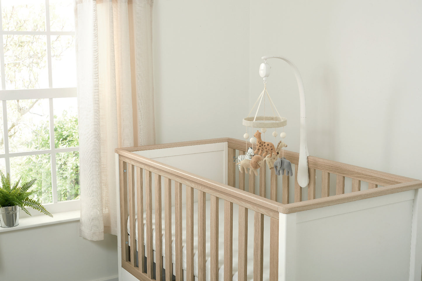 Musical Mobile Born to be Wild