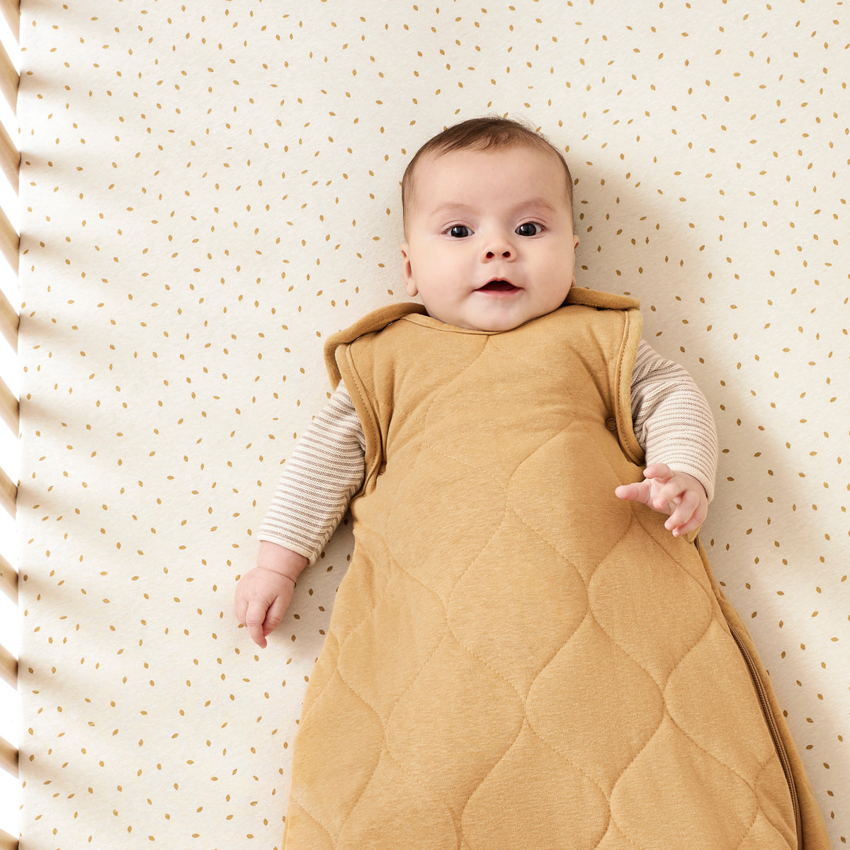 Baby lying comfortably in Honey sleep bag