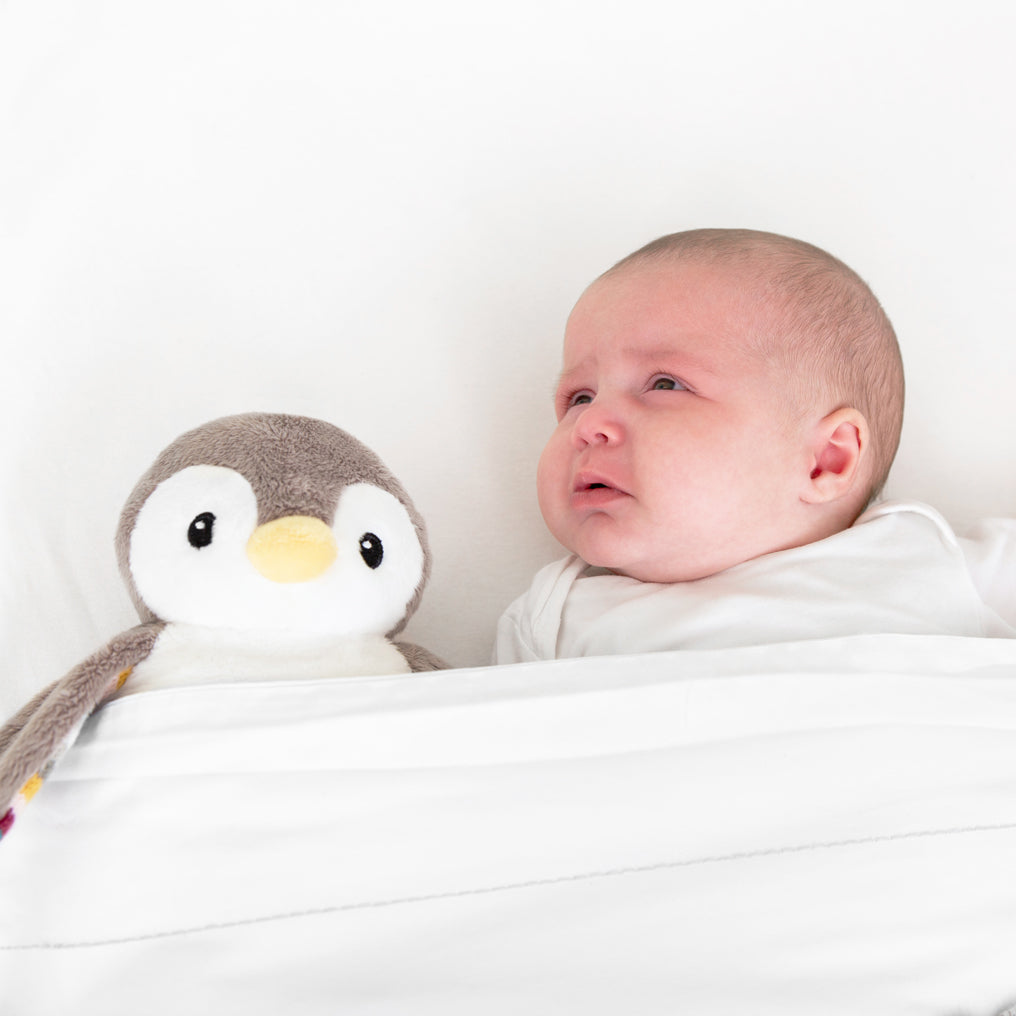 A beige and white bird with night light and soothing sounds, while baby sleeps in their cot.